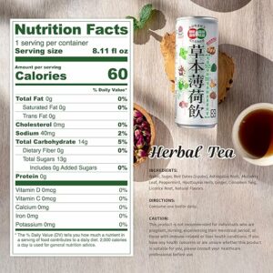 NÜLIFE Peppermint Herbal Iced Tea 8 Botanical Blend for Cooling Refreshment Pack of 24