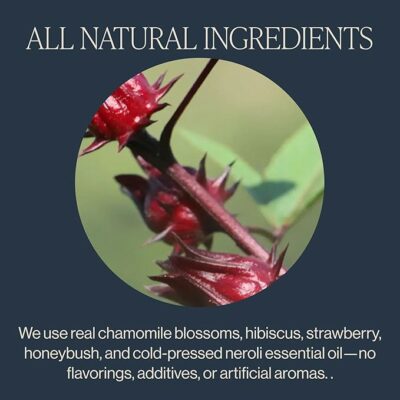 Rishi Tea Garden Party Herbal Tea Organic Caffeine Free 15 Sachet Bags