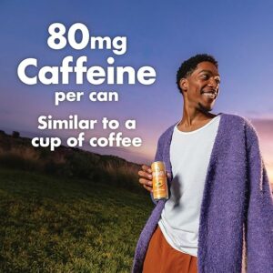 V8 +Energy Pomegranate Blueberry Juice Energy Drink Pack of 6