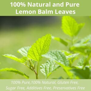 60 Lemon Balm Tea Bags Dried Lemon Balm Leaves Tea Stress Relief & Sleep Support