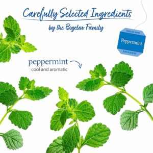 Bigelow Tea Peppermint Herbal Tea Caffeine Free Tea 20 Teabags