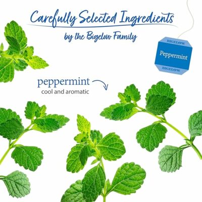 Bigelow Tea Peppermint Herbal Tea Caffeine Free Tea 20 Teabags