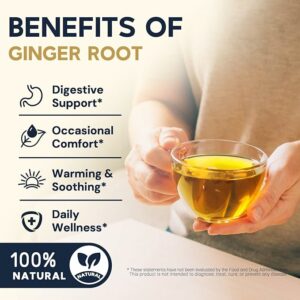 Ginger Root Herbal Tea Caffeine Free 50 Tea Bags