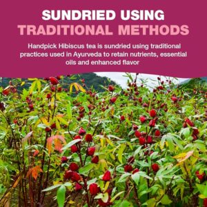 HANDPICK Organic Hibiscus Tea Bags 100 Tea Bags