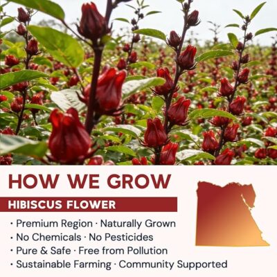 Hibiscus Tea Bags Hibiscus Flower Herbal Tea 50 Teabags