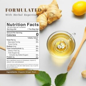 Oxify Organic Ginger Root Herbal Tea 100 Eco Friendly Tea Bags