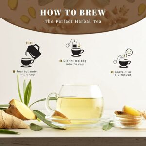 Oxify Organic Ginger Root Herbal Tea 100 Eco Friendly Tea Bags