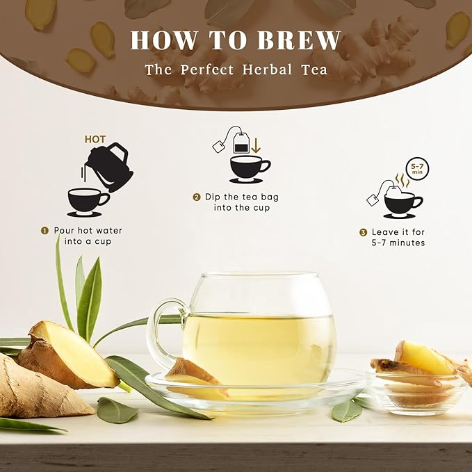 Oxify Organic Ginger Root Herbal Tea 100 Eco Friendly Tea Bags