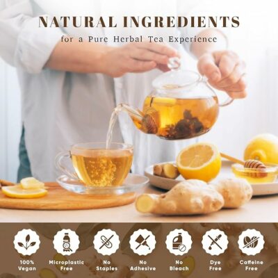 Oxify Organic Ginger Root Herbal Tea 100 Eco Friendly Tea Bags