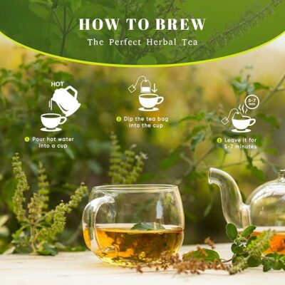 Oxify Organic Krishna Tulsi Herbal Tea 100 Eco Friendly Tea Bag