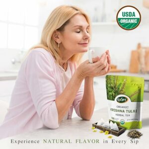 Oxify Organic Krishna Tulsi Herbal Tea 100 Eco Friendly Tea Bag
