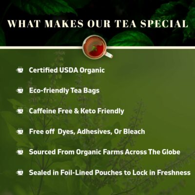 Oxify Organic Krishna Tulsi Herbal Tea 100 Eco Friendly Tea Bag