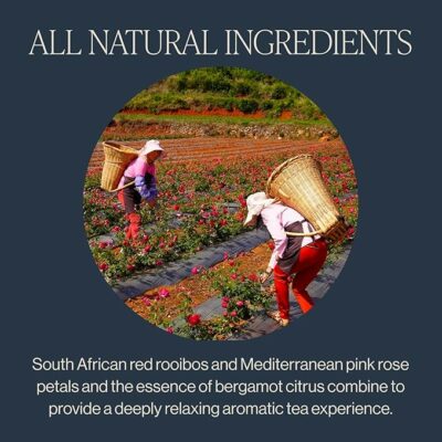 Rishi Tea Bergamot Rose Herbal Tea Organic Caffeine Free 15 Sachet Bags