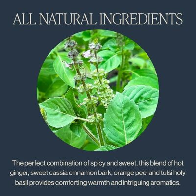 Rishi Tea Cinnamon Tulsi Spice Herbal Tea Organic Caffeine Free 15 Sachet Bags