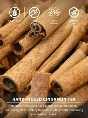 TeeLux Cinnamon Tea Bags Pure & Natural Cinnamon Herbal Tea 100 Teabags