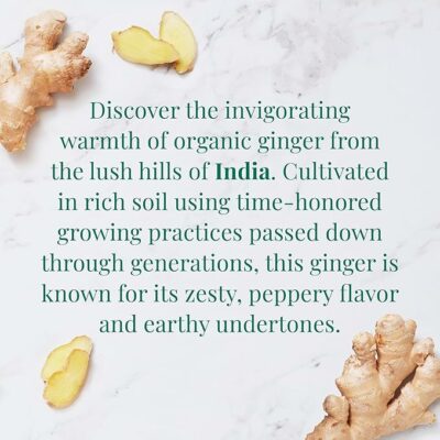 The Republic of Tea Organic Indian Ginger SuperHerb Tea Tin 36 Herbal Tea Bags