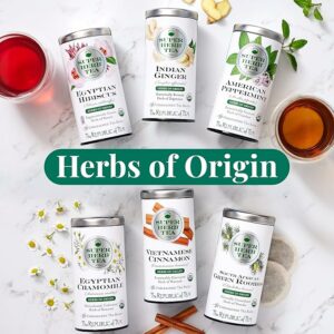 The Republic of Tea Organic Indian Ginger SuperHerb Tea Tin 36 Herbal Tea Bags
