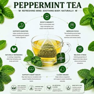 AVYROMA Premium Organic Peppermint Tea 30 Teabags