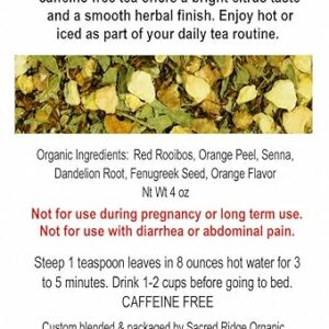 Good to Go Gentle Cleanse Herbal Tea Organic Loose Leaf Caffeine Free Herbal Tea 4oz
