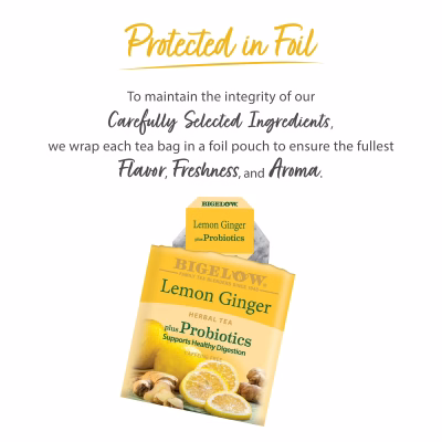 Bigelow Lemon Ginger Plus Probiotics Herbal Tea Bags 18 Count