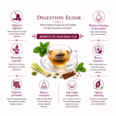 Brinita Digestion Elixir Green Tea Gut Health Bloating Relief Weight Management 10 Count