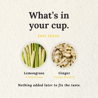 Dweller Lemongrass Ginger Herbal Tea Aromatic and Warm 18 Teabags