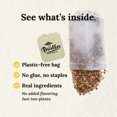 Dweller Lemongrass Ginger Herbal Tea Aromatic and Warm 18 Teabags