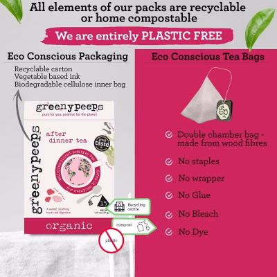 Greenypeeps After Dinner Tea Organic Fennel Tea Bags 15 Count