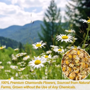 Chamomile Tea 100 Teabags Pure & Natural Chamomile Flower Herbal Tea for Relaxation