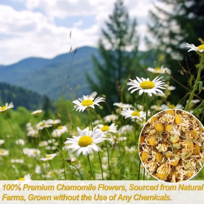 Chamomile Tea 100 Teabags Pure & Natural Chamomile Flower Herbal Tea for Relaxation