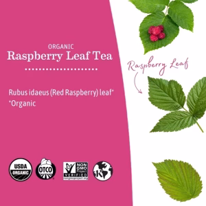 Earth Mama Organic Raspberry Leaf Tea 16 bags