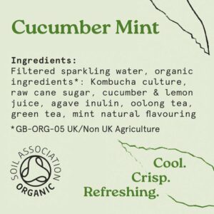 HOLOS Organic Sparkling Tea Cucumber Mint 250ml Pack of 6