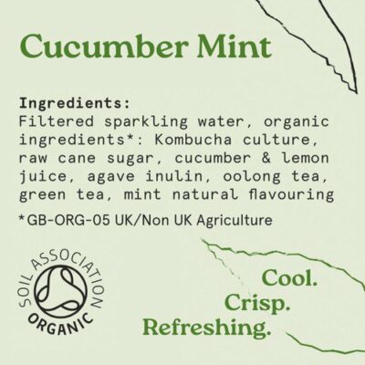 HOLOS Organic Sparkling Tea Cucumber Mint 250ml Pack of 6