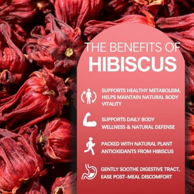 Hibiscus Peppermint Herbal Tea Bags 25 Count