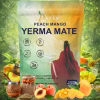 Organic Yerba Mate Tea Natural Energy & Focus Support Caffeine free Herbal Tea 30 Teabags