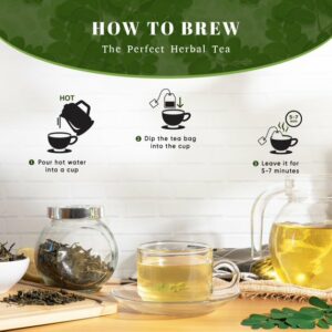 Oxify Organic Moringa Leaves Herbal Tea 100 Eco Friendly Tea Bags