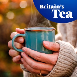 Tetley Herbal Pure Camomile Tea Bags 20 Teabags British Impor