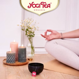 Yogi Tea Organic Morning Energy 17 Tea Bags