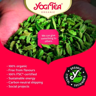 Yogi Tea Organic Morning Energy 17 Tea Bags