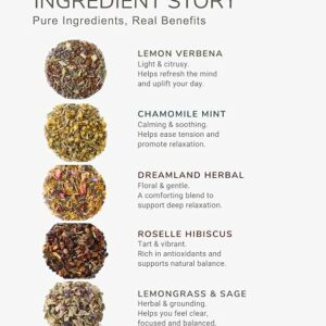 EZR LEAF Pura Herbal Tea Sampler 22 Teabags Tea Variety Gift Set