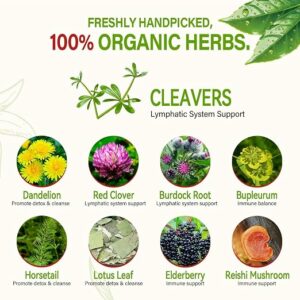 HerbOLITHIC 9 in 1 Cleavers Herb Lymphatic Drainage Organic 30 Tea Bags