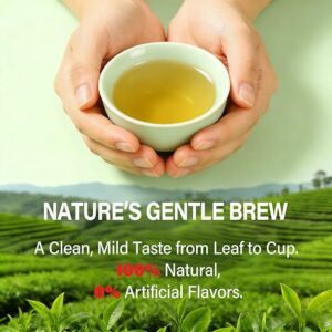 HerbOLITHIC 9 in 1 Cleavers Herb Lymphatic Drainage Organic 30 Tea Bags