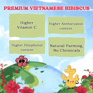 LoveinTea Hibiscus Herbal Tea Bags 100% Natural Vietnamese Hibiscus Blend 30 Tea Bags