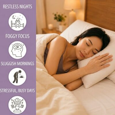 Sleep Sanctuary by Phran kiri Caffeine Free Herbal Tea Bags for Night Time Relaxation 18 Teabags