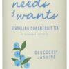 Slingshot Coffee Tea Sparkling Superfruit Blueberry Jasmine 10.5 Ounce