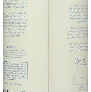Slingshot Coffee Tea Sparkling Superfruit Blueberry Jasmine 10.5 Ounce