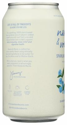 Slingshot Coffee Tea Sparkling Superfruit Blueberry Jasmine 10.5 Ounce